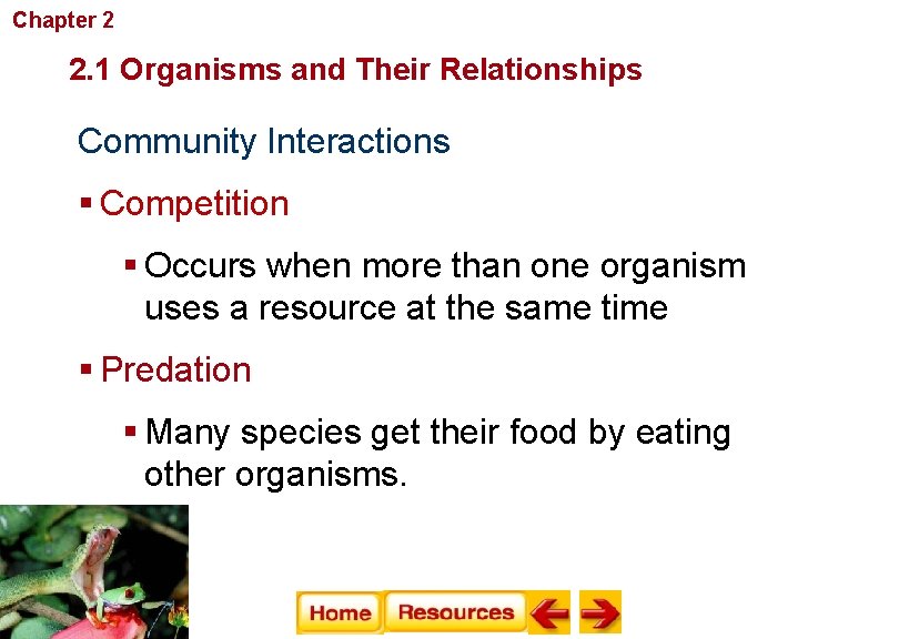 Chapter 2 Principles of Ecology 2. 1 Organisms and Their Relationships Community Interactions §