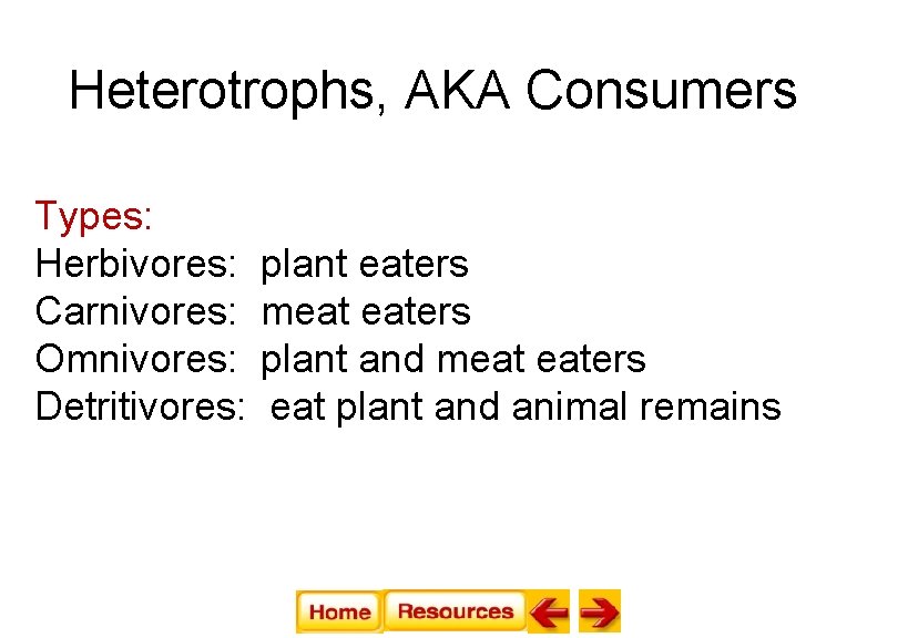 Heterotrophs, AKA Consumers Types: Herbivores: plant eaters Carnivores: meat eaters Omnivores: plant and meat