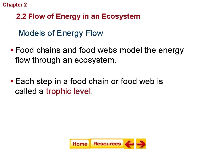 Chapter 2 Principles of Ecology 2. 2 Flow of Energy in an Ecosystem Models