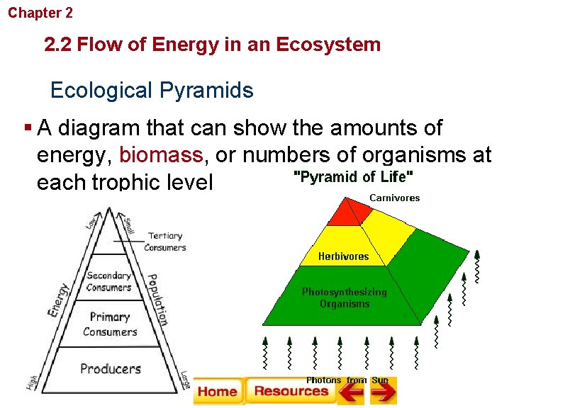 Chapter 2 Principles of Ecology 2. 2 Flow of Energy in an Ecosystem Ecological