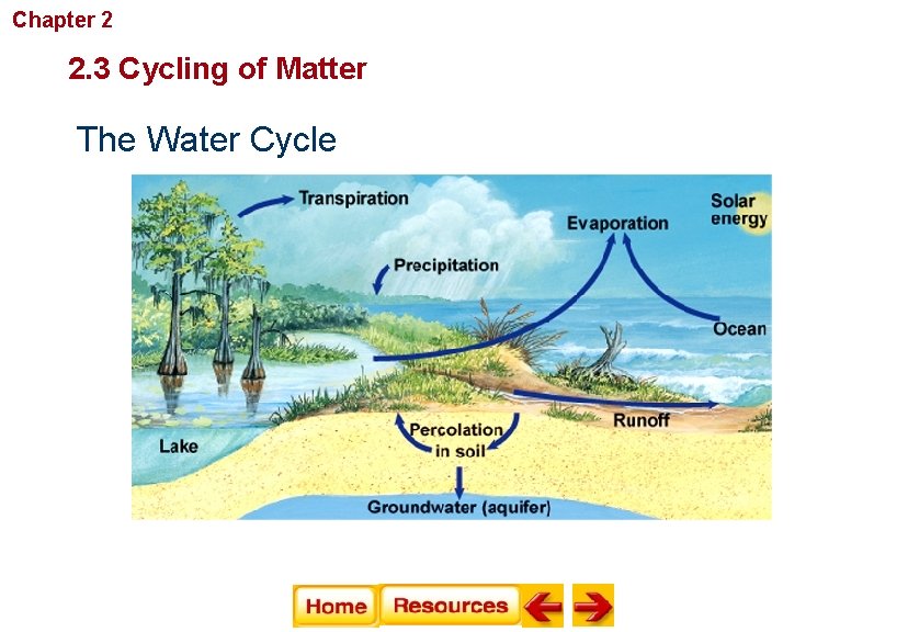 Chapter 2 Principles of Ecology 2. 3 Cycling of Matter The Water Cycle 