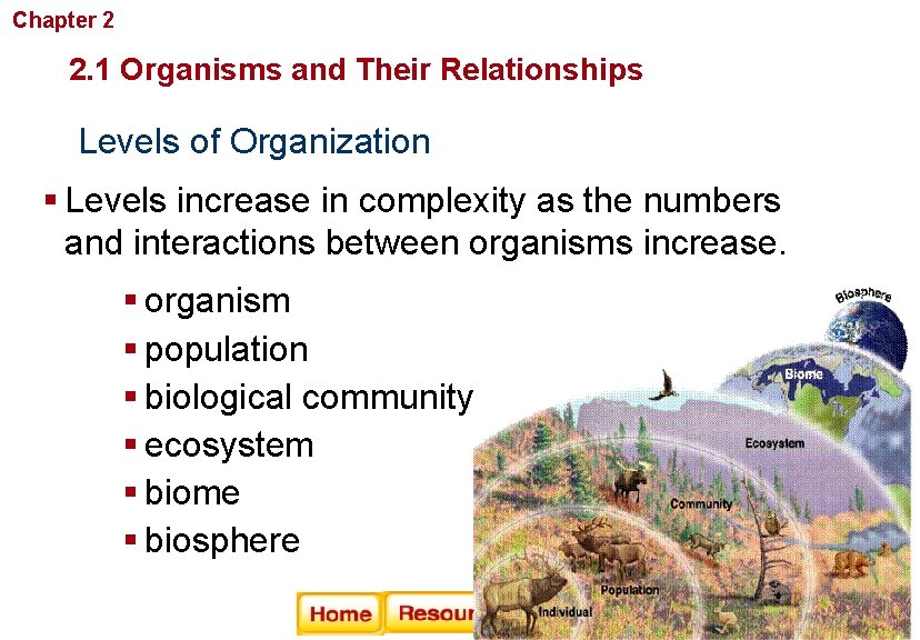 Chapter 2 Principles of Ecology 2. 1 Organisms and Their Relationships Levels of Organization