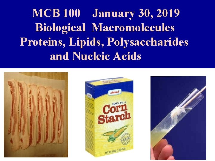 MCB 100 January 30, 2019 Biological Macromolecules Proteins, Lipids, Polysaccharides and Nucleic Acids 