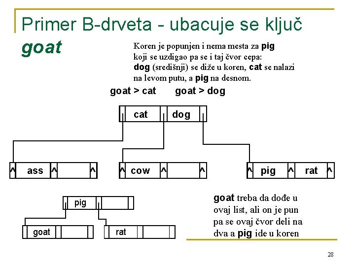 Primer B-drveta - ubacuje se ključ Koren je popunjen i nema mesta za pig