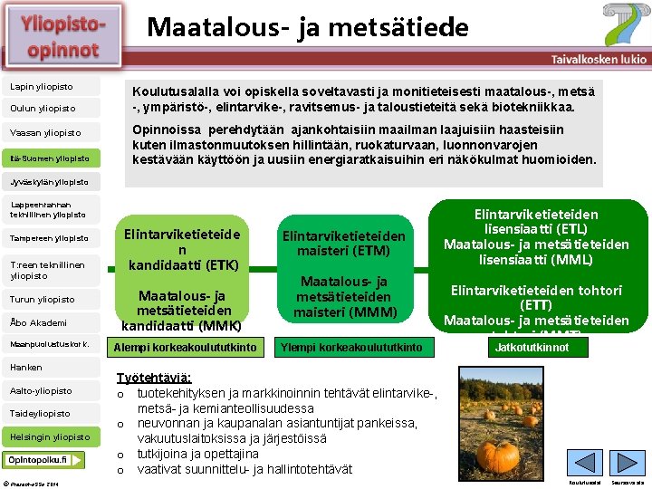 Älä muuta perustyylidiaa Maatalousja metsätiede Lapin yliopisto Oulun yliopisto Vaasan yliopisto Itä-Suomen yliopisto Koulutusalalla