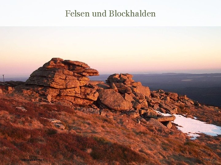 Felsen und Blockhalden Nationalpark Harz 25 