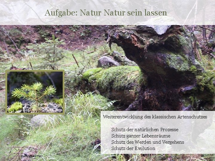 Aufgabe: Natur sein lassen Weiterentwicklung des klassischen Artenschutzes Schutz der natürlichen Prozesse Schutz ganzer