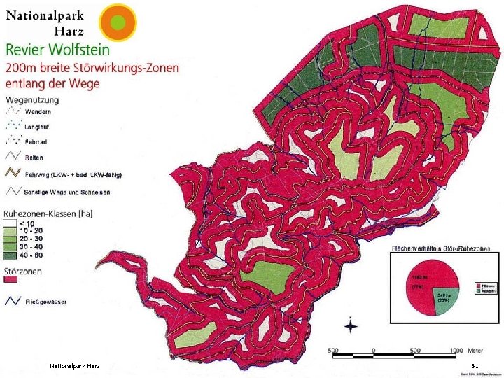 Nationalpark Harz 31 