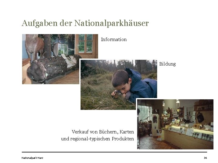 Aufgaben der Nationalparkhäuser Information Bildung Verkauf von Büchern, Karten und regional-typischen Produkten Nationalpark Harz