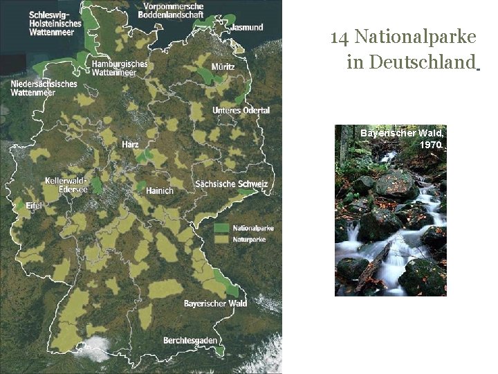 14 Nationalparke in Deutschland Bayerischer Wald, 1970 
