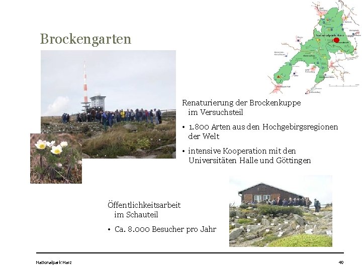 Brockengarten Renaturierung der Brockenkuppe im Versuchsteil • 1. 800 Arten aus den Hochgebirgsregionen der