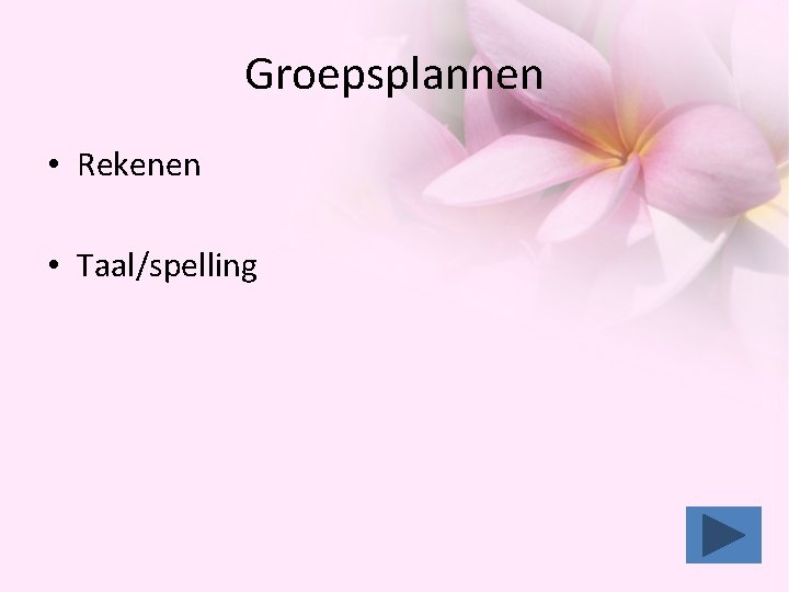 Groepsplannen • Rekenen • Taal/spelling Groepsplannen • Rekenen • Taal/spelling