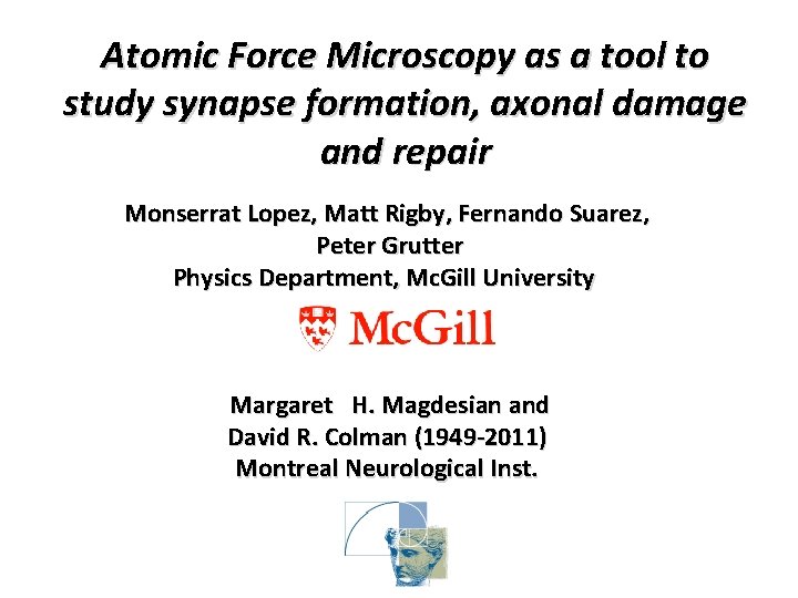 Atomic Force Microscopy as a tool to study synapse formation, axonal damage and repair