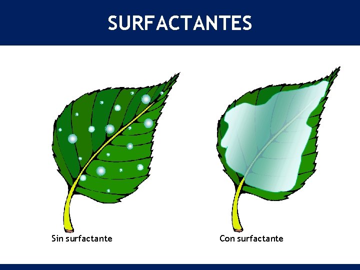 SURFACTANTES Sin surfactante Con surfactante 