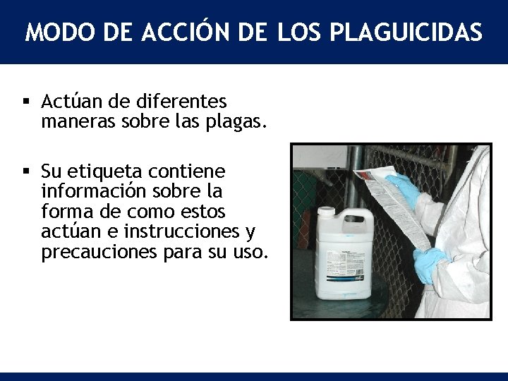 MODO DE ACCIÓN DE LOS PLAGUICIDAS § Actúan de diferentes maneras sobre las plagas.