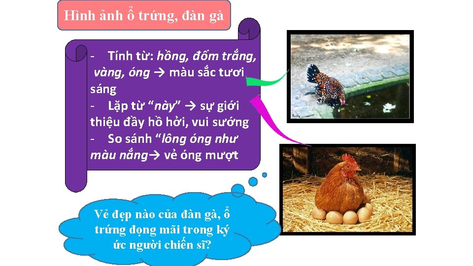 Hình ảnh ổ trứng, đàn gà - Tính từ: hồng, đốm trắng, vàng, óng