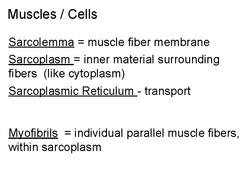 Muscles / Cells Sarcolemma = muscle fiber membrane Sarcoplasm = inner material surrounding fibers