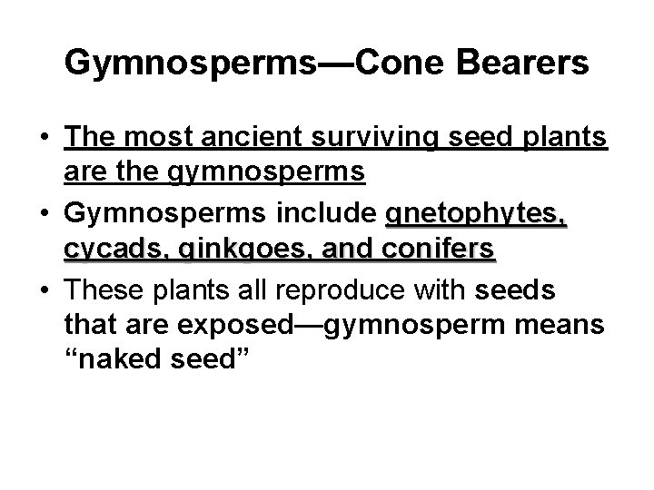 Gymnosperms—Cone Bearers • The most ancient surviving seed plants are the gymnosperms • Gymnosperms