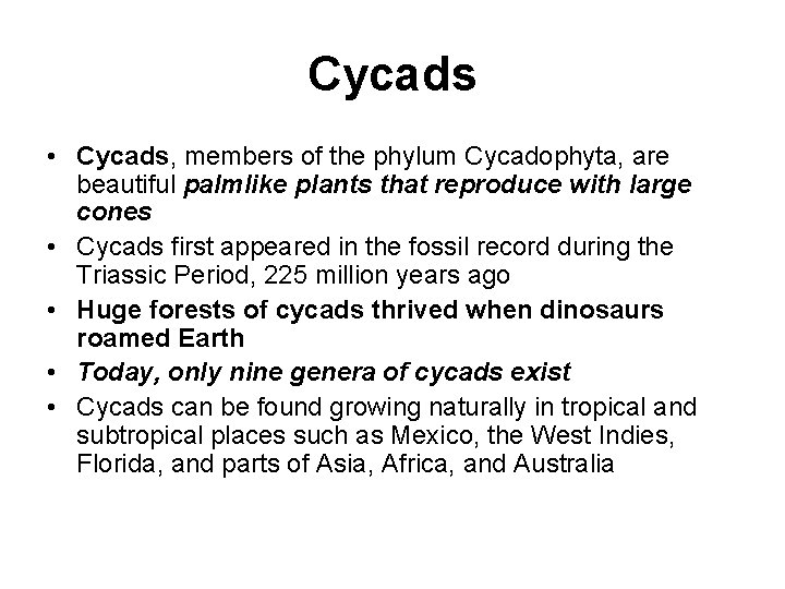 Cycads • Cycads, members of the phylum Cycadophyta, are beautiful palmlike plants that reproduce