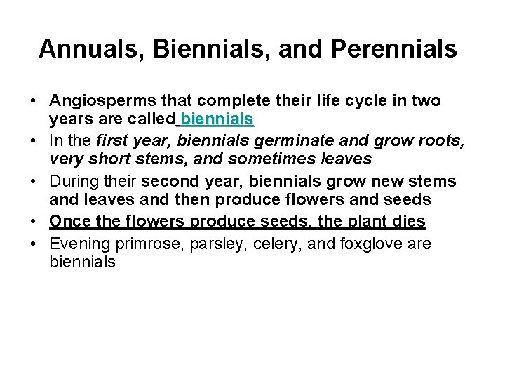 Annuals, Biennials, and Perennials • Angiosperms that complete their life cycle in two years
