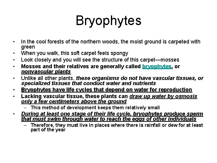 Bryophytes • • In the cool forests of the northern woods, the moist ground