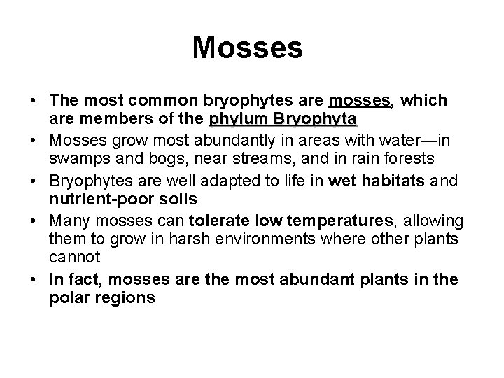 Mosses • The most common bryophytes are mosses, which are members of the phylum