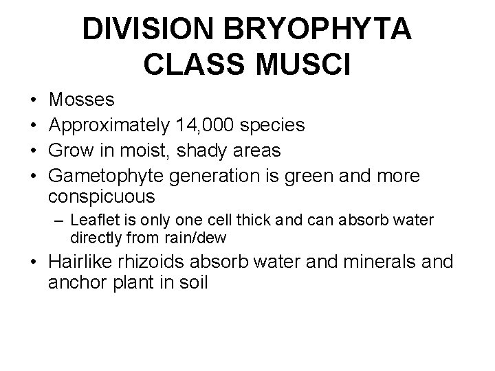 DIVISION BRYOPHYTA CLASS MUSCI • • Mosses Approximately 14, 000 species Grow in moist,