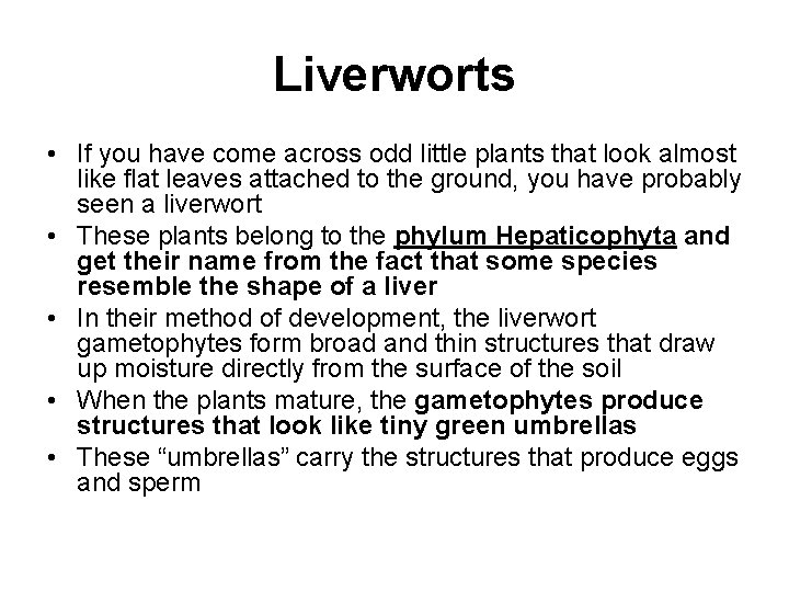 Liverworts • If you have come across odd little plants that look almost like