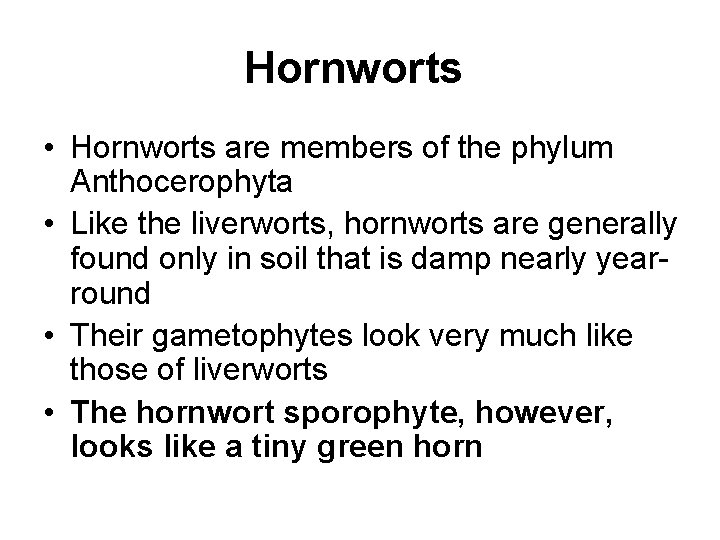 Hornworts • Hornworts are members of the phylum Anthocerophyta • Like the liverworts, hornworts