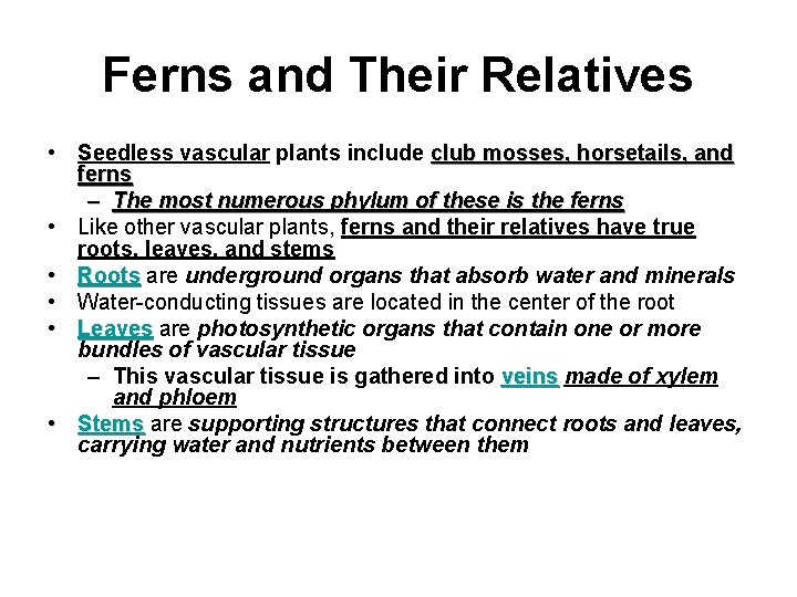 Ferns and Their Relatives • Seedless vascular plants include club mosses, horsetails, and ferns