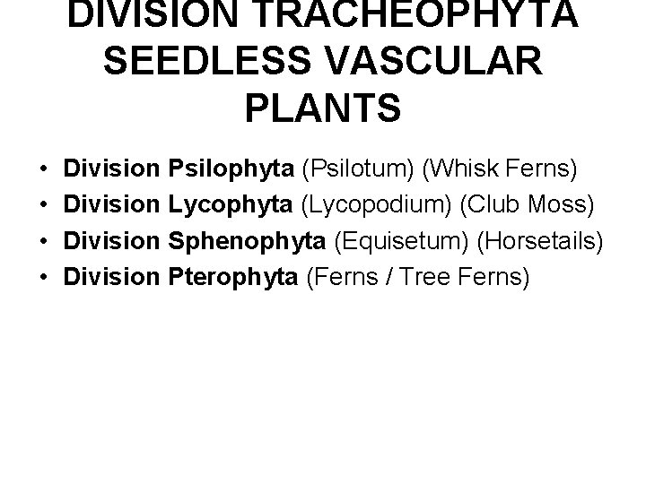 DIVISION TRACHEOPHYTA SEEDLESS VASCULAR PLANTS • • Division Psilophyta (Psilotum) (Whisk Ferns) Division Lycophyta