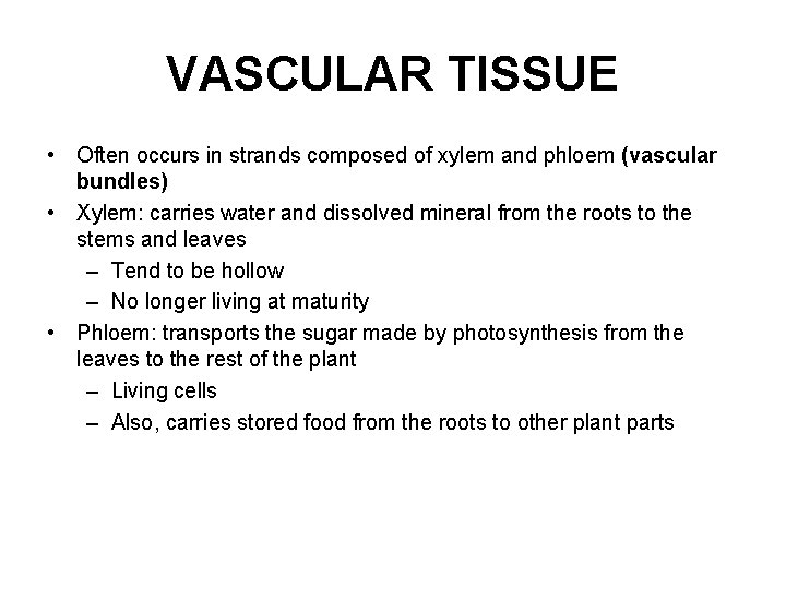 VASCULAR TISSUE • Often occurs in strands composed of xylem and phloem (vascular bundles)