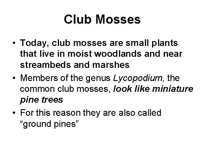 Club Mosses • Today, club mosses are small plants that live in moist woodlands