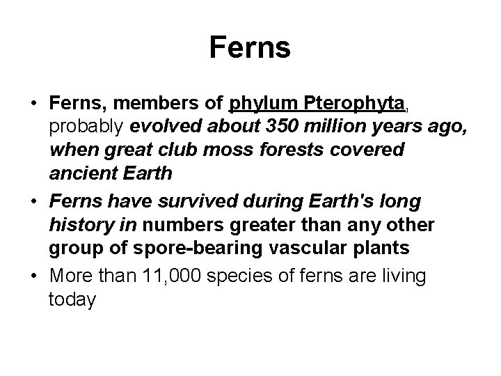 Ferns • Ferns, members of phylum Pterophyta, probably evolved about 350 million years ago,