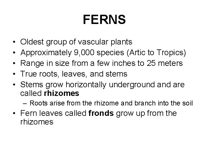 FERNS • • • Oldest group of vascular plants Approximately 9, 000 species (Artic