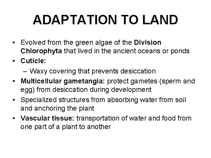 ADAPTATION TO LAND • Evolved from the green algae of the Division Chlorophyta that