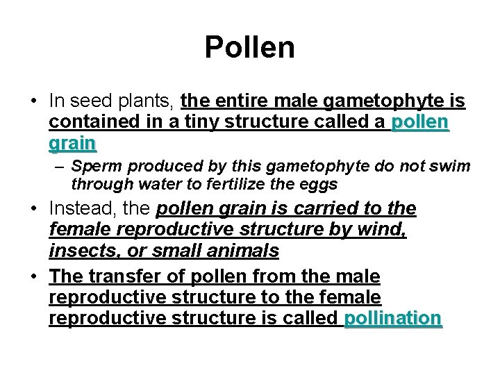 Pollen • In seed plants, the entire male gametophyte is contained in a tiny