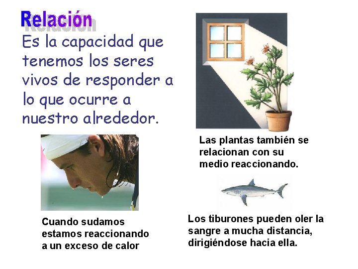 Es la capacidad que tenemos los seres vivos de responder a lo que ocurre