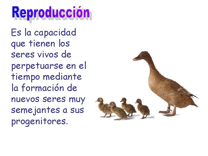 Es la capacidad que tienen los seres vivos de perpetuarse en el tiempo mediante