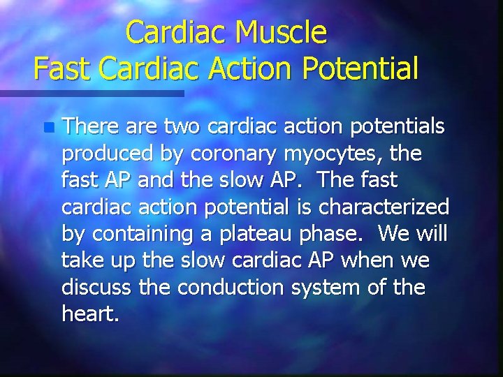 Cardiac Muscle Fast Cardiac Action Potential n There are two cardiac action potentials produced