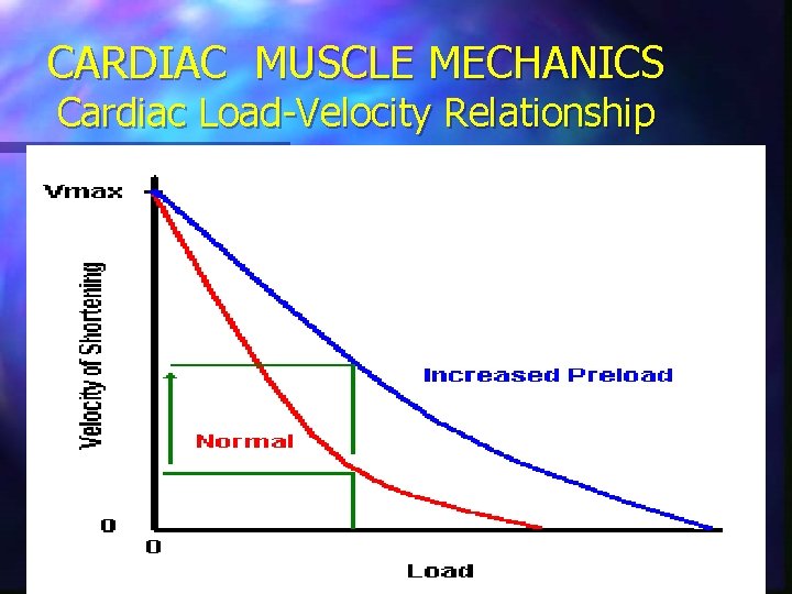 CARDIAC MUSCLE MECHANICS Cardiac Load-Velocity Relationship 