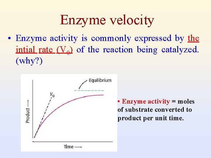 Enzyme velocity • Enzyme activity is commonly expressed by the intial rate (V 0)