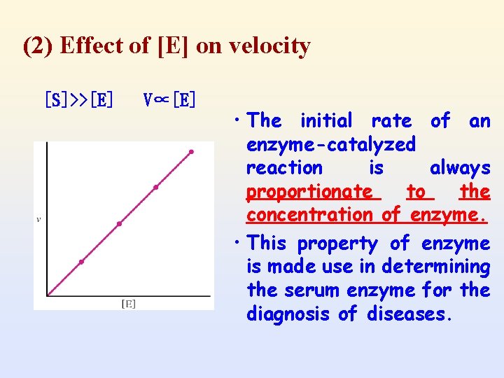 (2) Effect of [E] on velocity [S]>>[E] V∝[E] • The initial rate of an