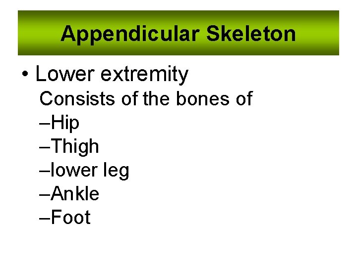 Appendicular Skeleton • Lower extremity Consists of the bones of –Hip –Thigh –lower leg