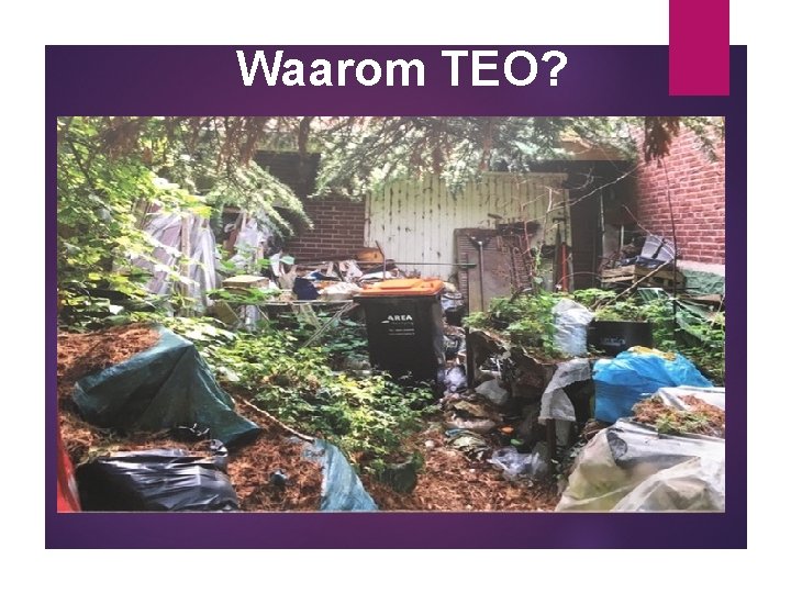 Waarom TEO? 