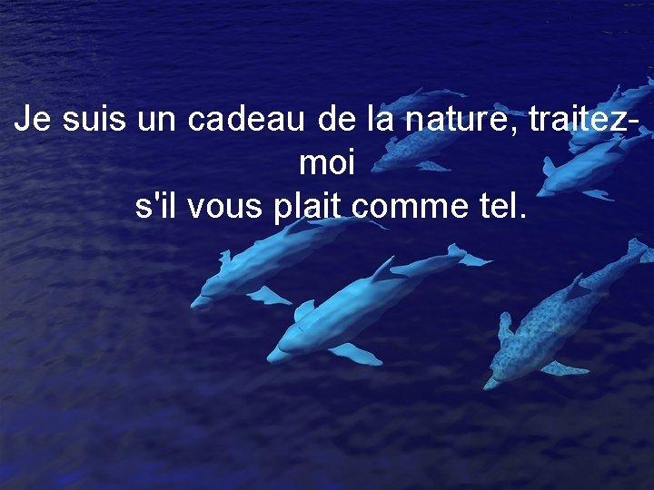 Je suis un cadeau de la nature, traitezmoi s'il vous plait comme tel. 