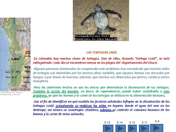 LAS TORTUGAS LAÚD. En Colombia hay muchas clases de tortugas. Una de ellas, llamada