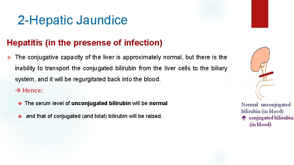 2 -Hepatic Jaundice Hepatitis (in the presense of infection) The conjugative capacity of the
