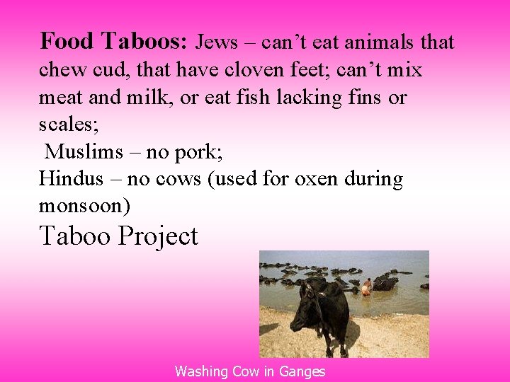 Food Taboos: Jews – can’t eat animals that chew cud, that have cloven feet;