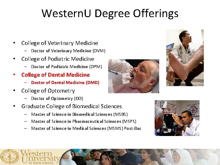 Western. U Degree Offerings • College of Veterinary Medicine – Doctor of Veterinary Medicine